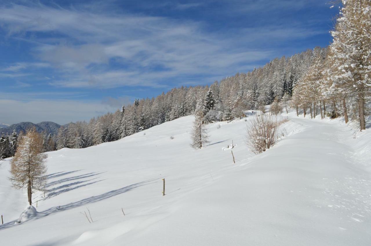 Chalet Serena Roncegno Luaran gambar